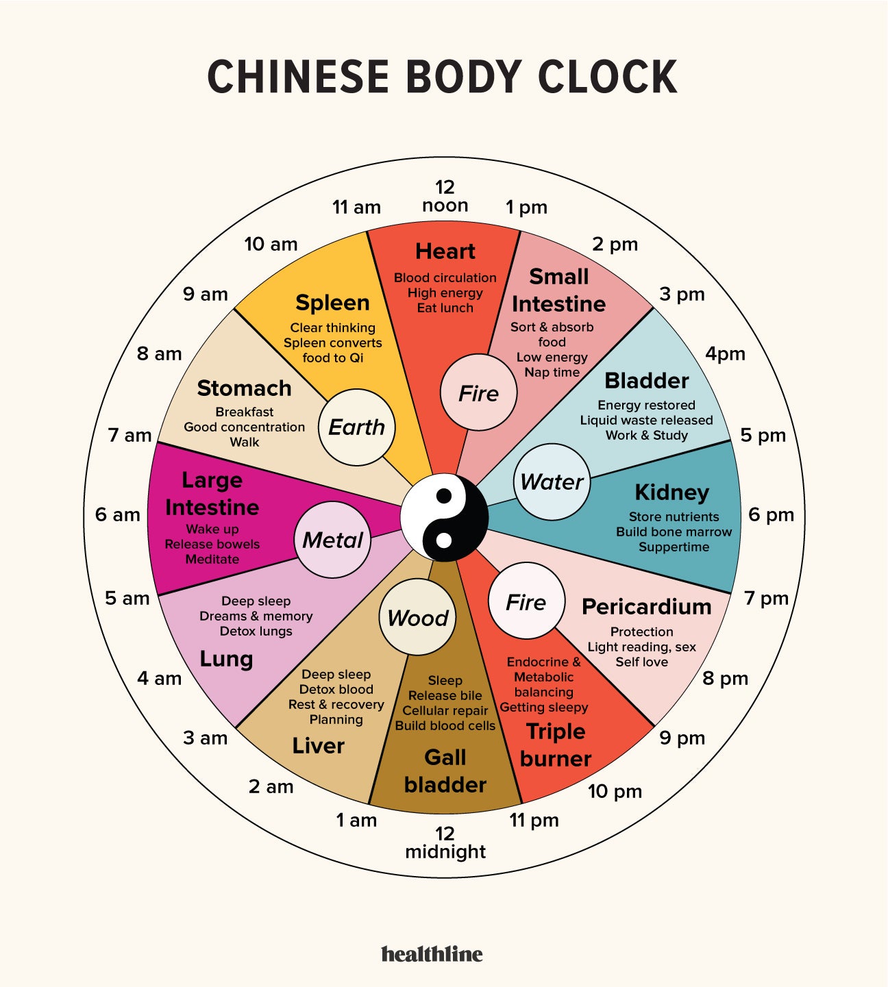 Chinese Body Clock About Benefits Research