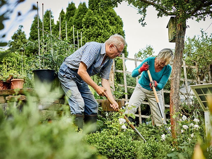 Older Adults Can Reduce Brain Shrinkage by Gardening, Dancing, Walking