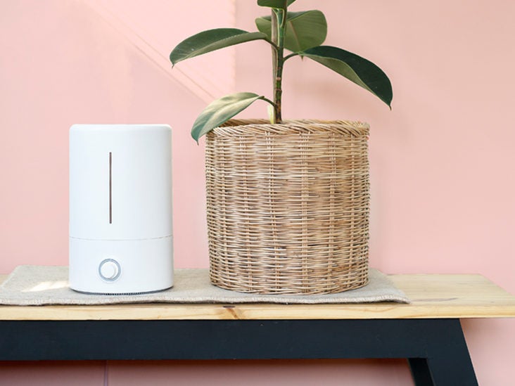 How an Air Purifier Can Give Your Lungs a Break