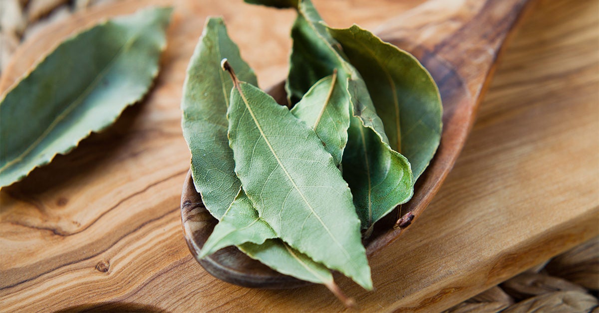 Can You Eat Bay Leaves?