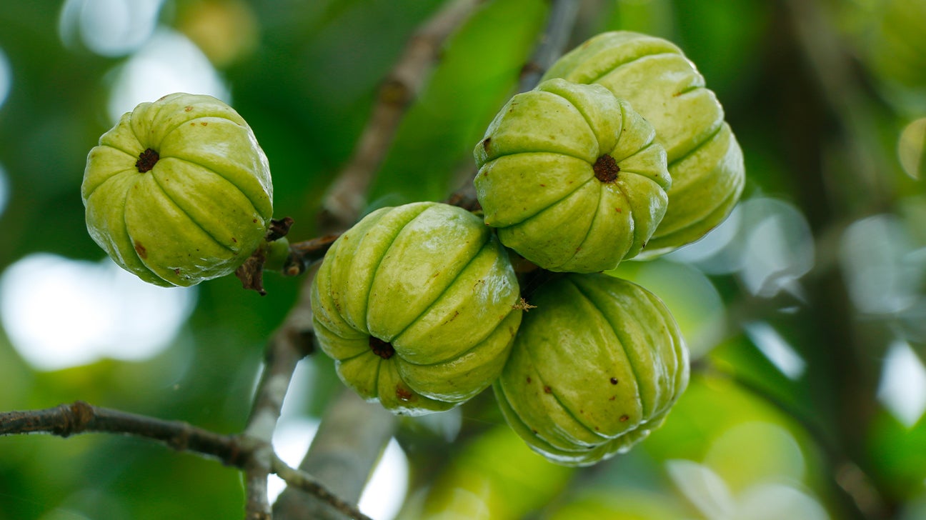 Garcinia cambogia benefits for weight loss