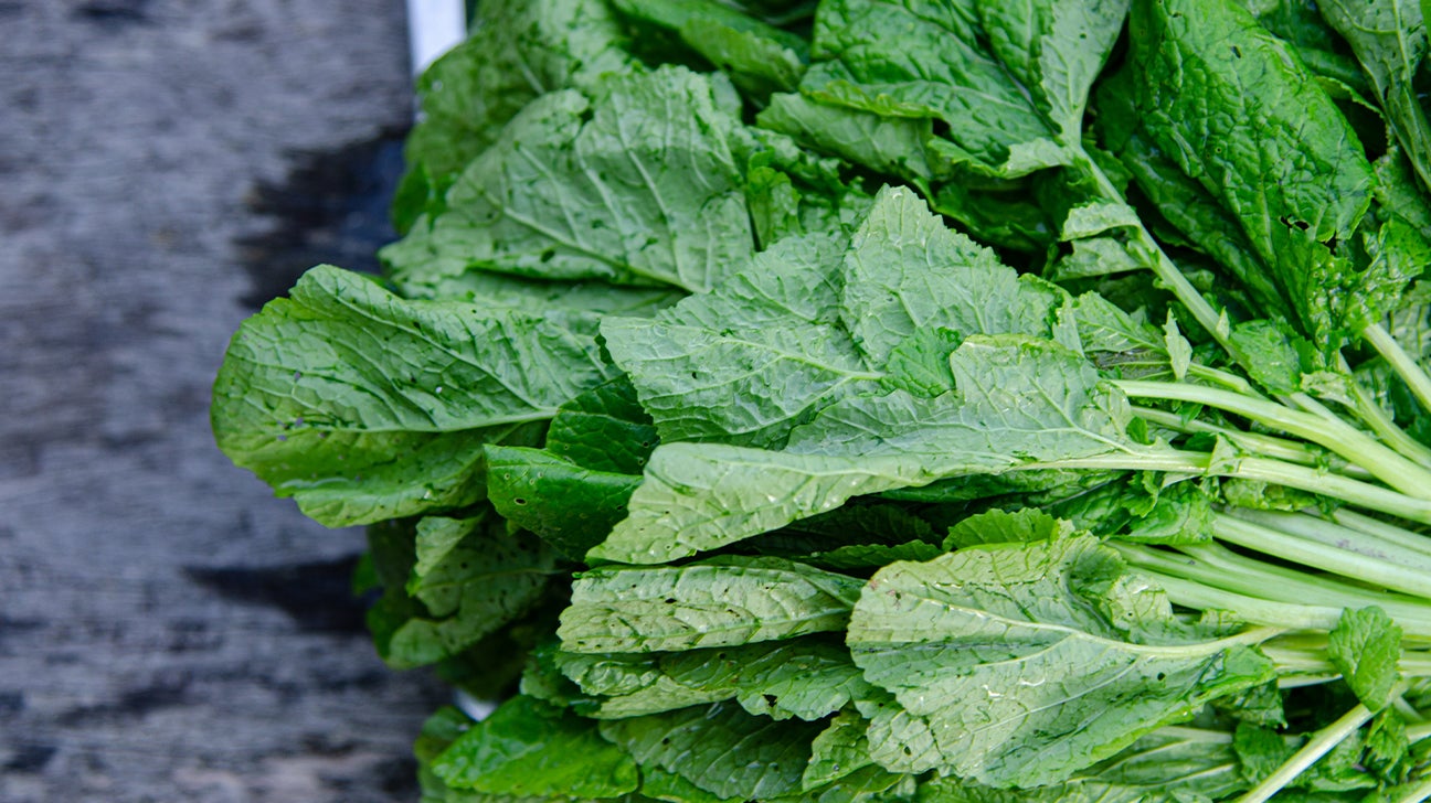 Mustard Greens Nutrition Facts and Health Benefits