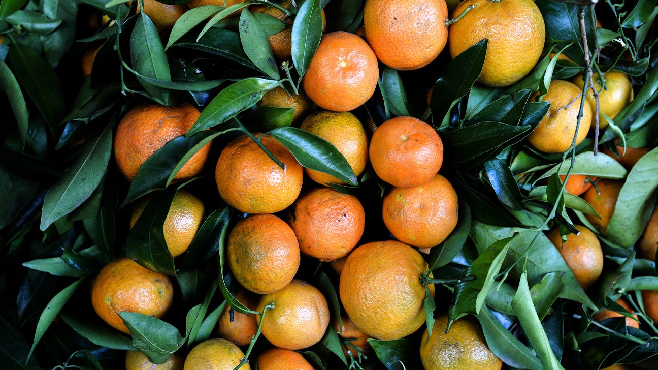 oranges tangerines clementines