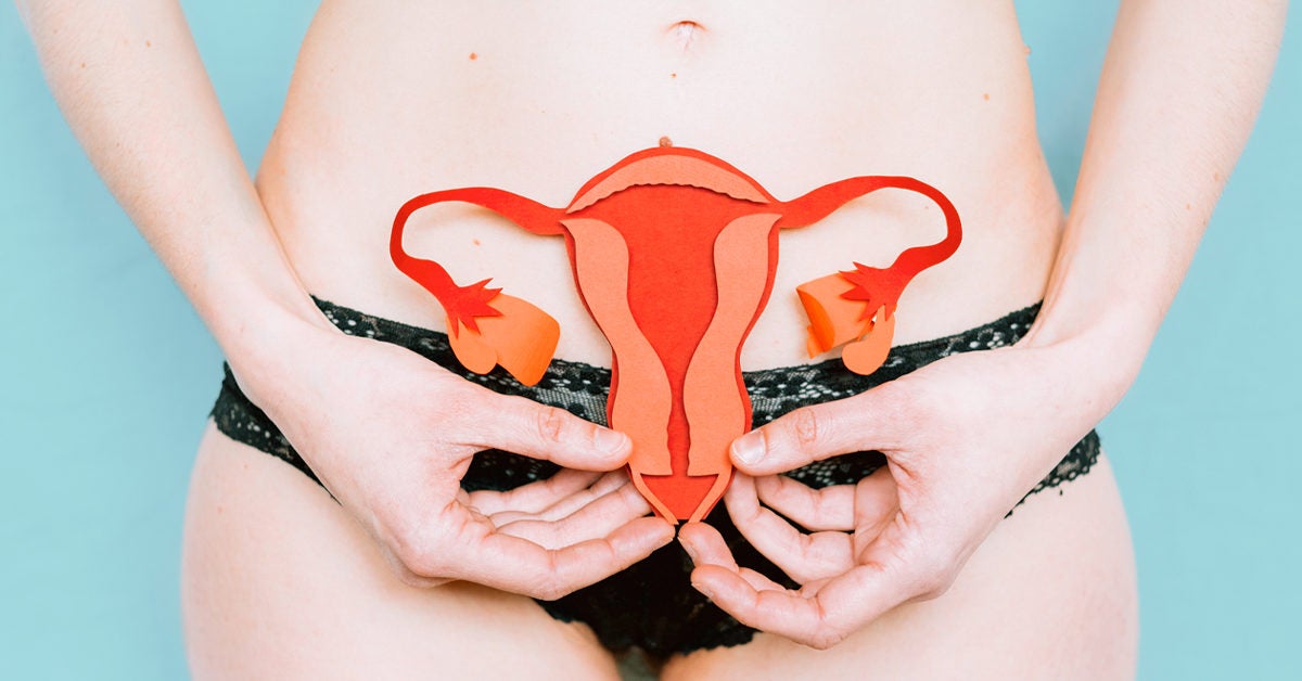 Female Reproductive Organs: Anatomy and Function