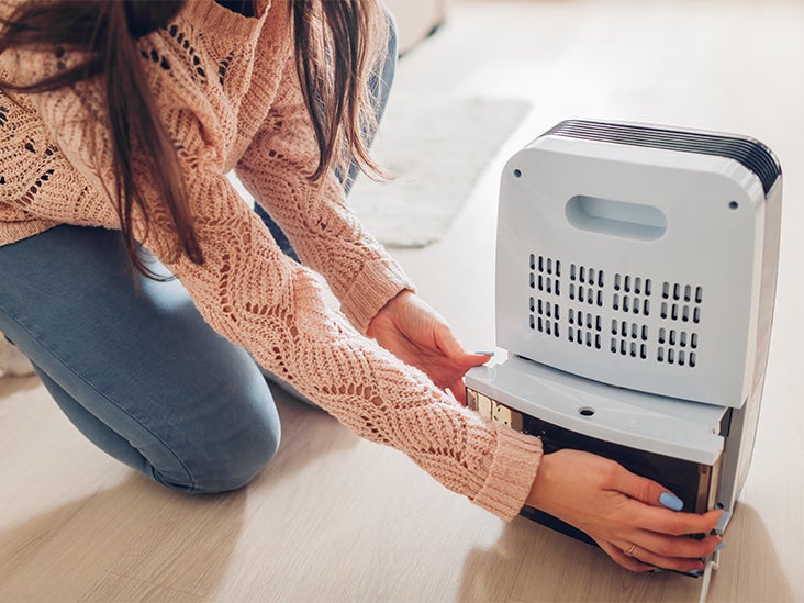 How To Use A Dehumidifier The Right Way