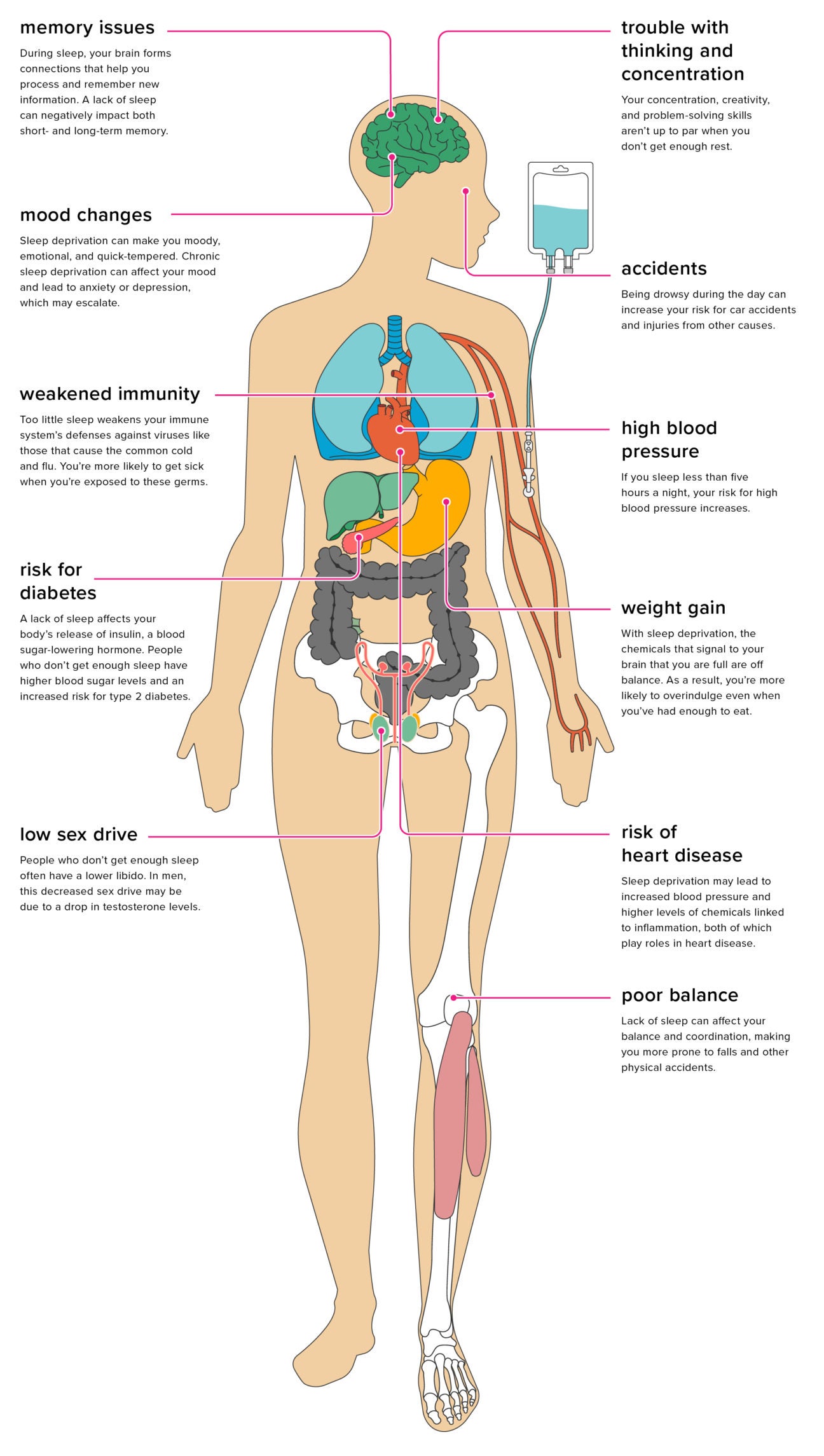 Car accident: What happens to the human body & the physiology behind it