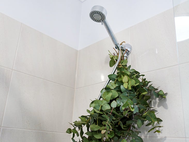 How to Get Eucalyptus in the Shower With or Without Branches