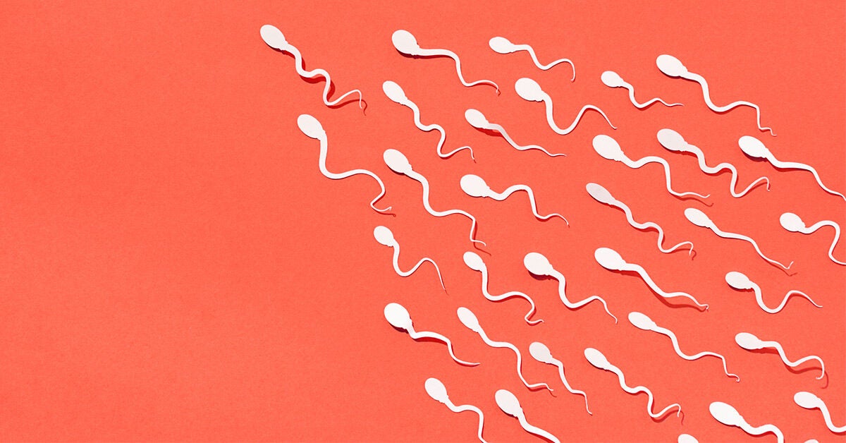 13 Facts About Semen And Sperm Composition Volume And More