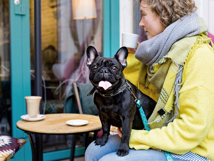 how long after exposure will a dog show signs of kennel cough