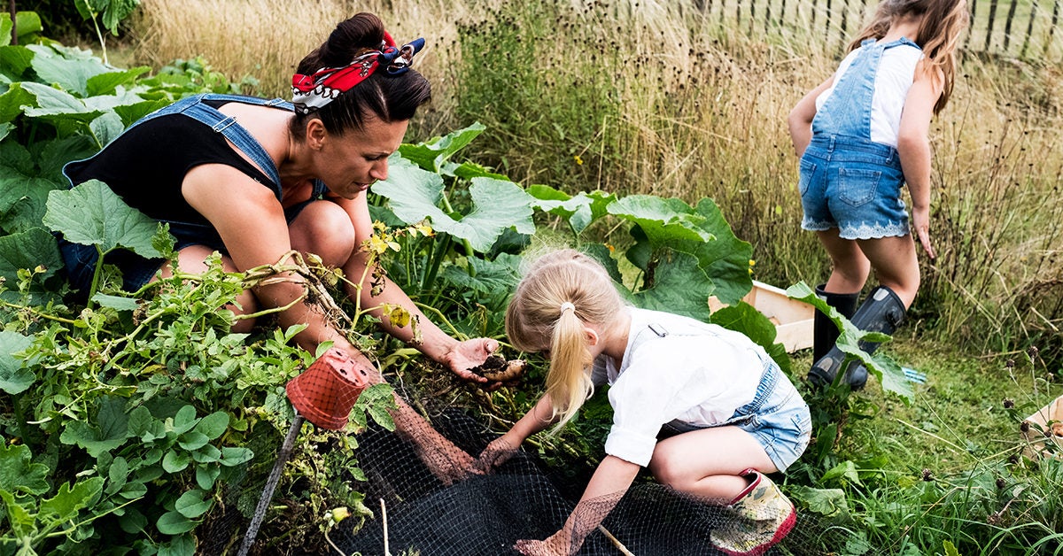 The Ugly Vegetables : Transforming Gardens with Power Words