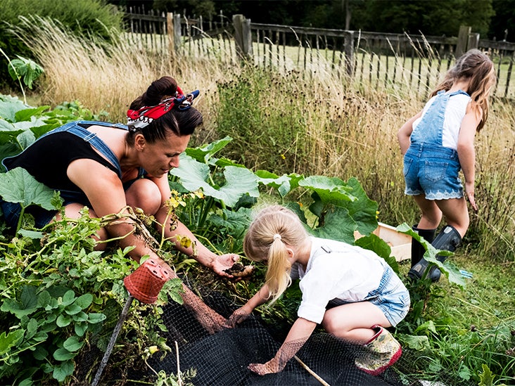 Commercial Gardening