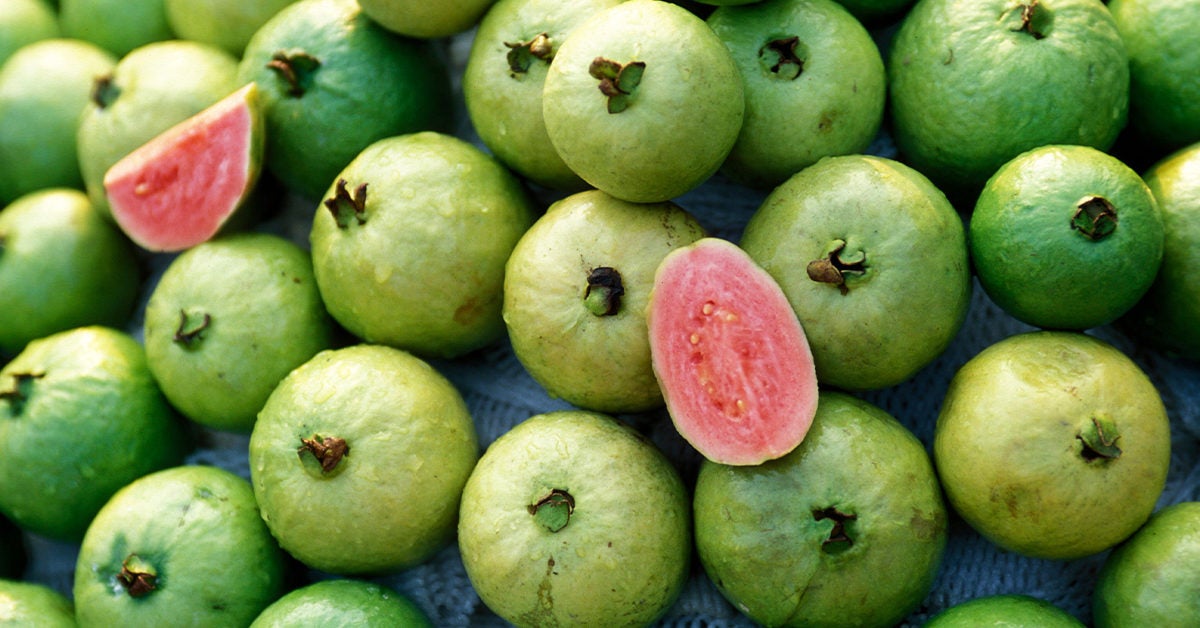 wah-wah-guava-eat-guava-for-health-and-disease-free