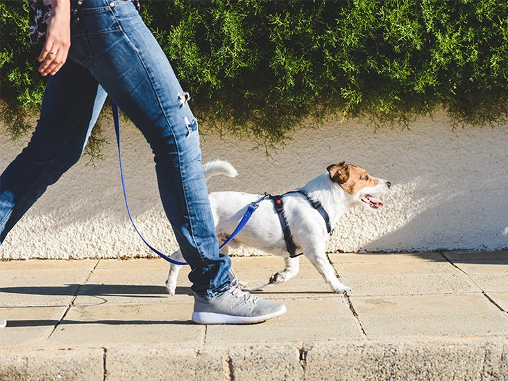 how many miles should you walk your dog a day