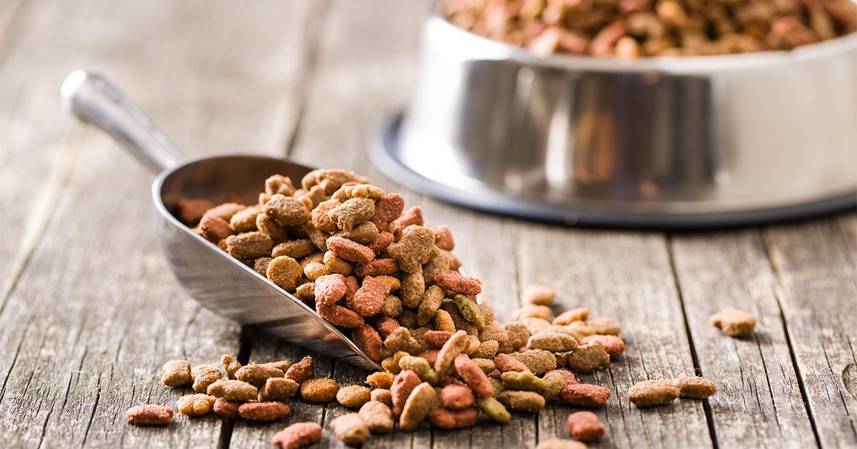 what is the best weight loss dog food