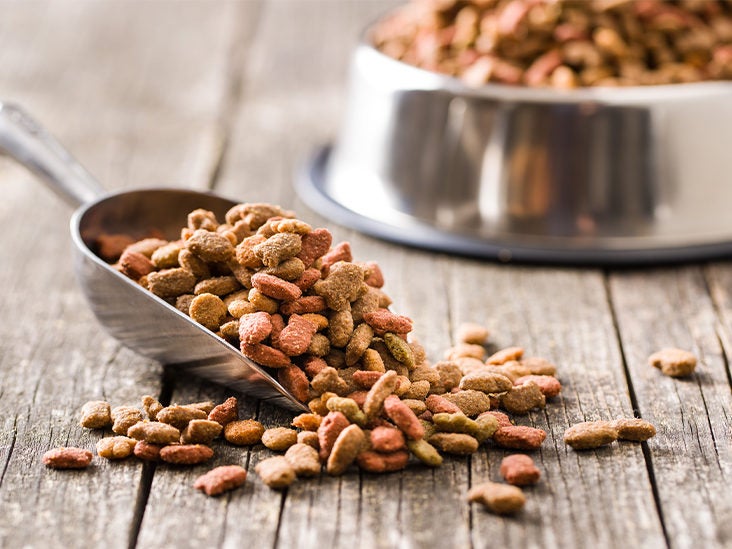 what dog foods cause heart disease