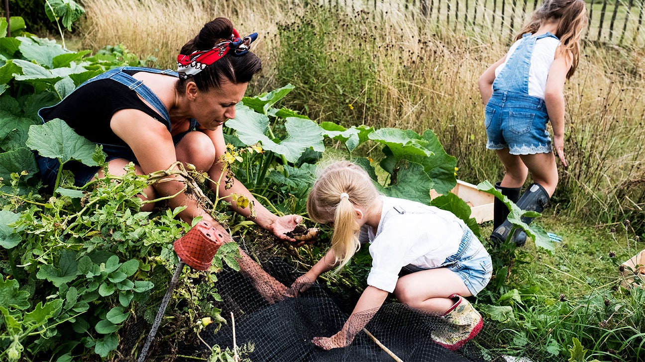 Home Gardening For Beginners