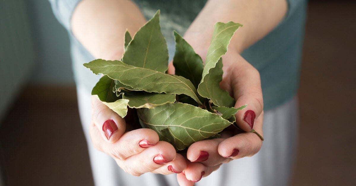 Bay Leaf Burning: Benefits, Risks, and How-To