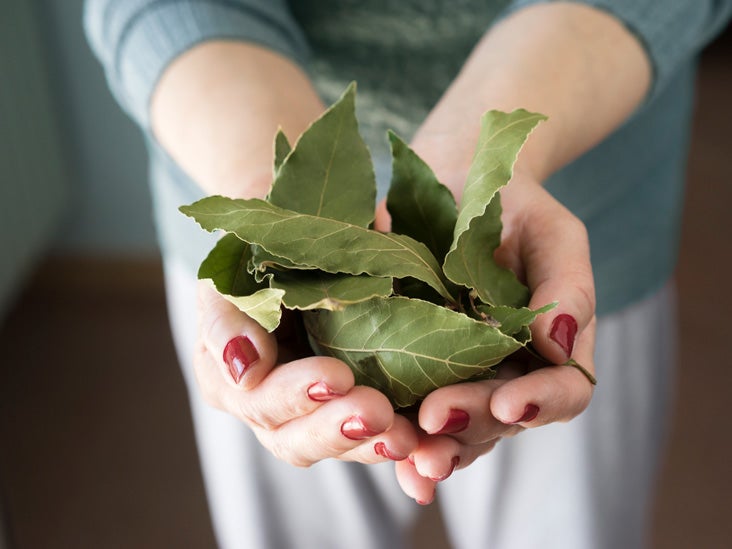 are bay leaves poisonous to humans and dogs