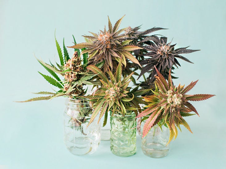 Top Reasons Why Flower Enthusiasts Love Weed Delivery