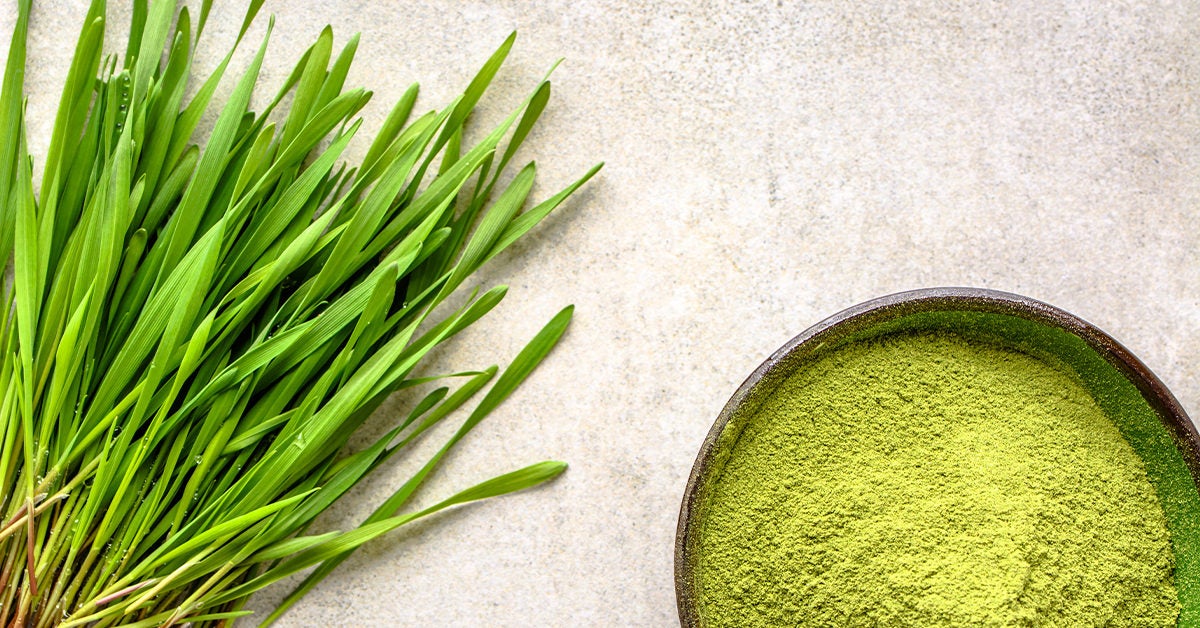 Barley Grass: Benefits, Uses, and Precautions