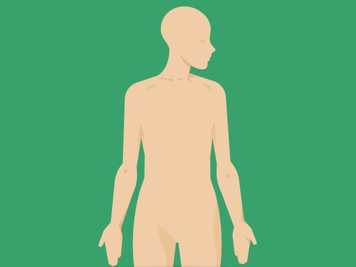 Occipital Lymph Nodes Anatomy, Diagram & Function | Body Maps