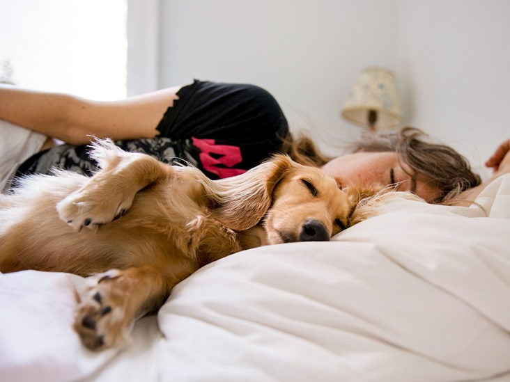 732px x 549px - Sleeping with Dogs: Benefits for Your Health, Risks, and Precautions