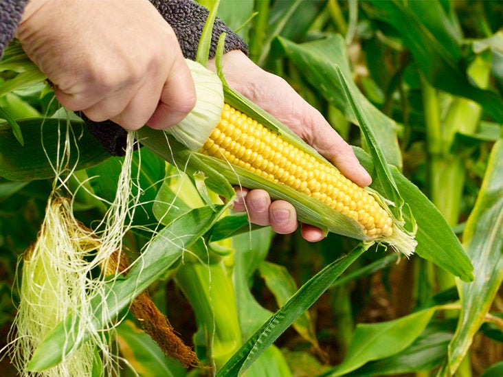 GMOs: Pros and Cons, Backed by Evidence