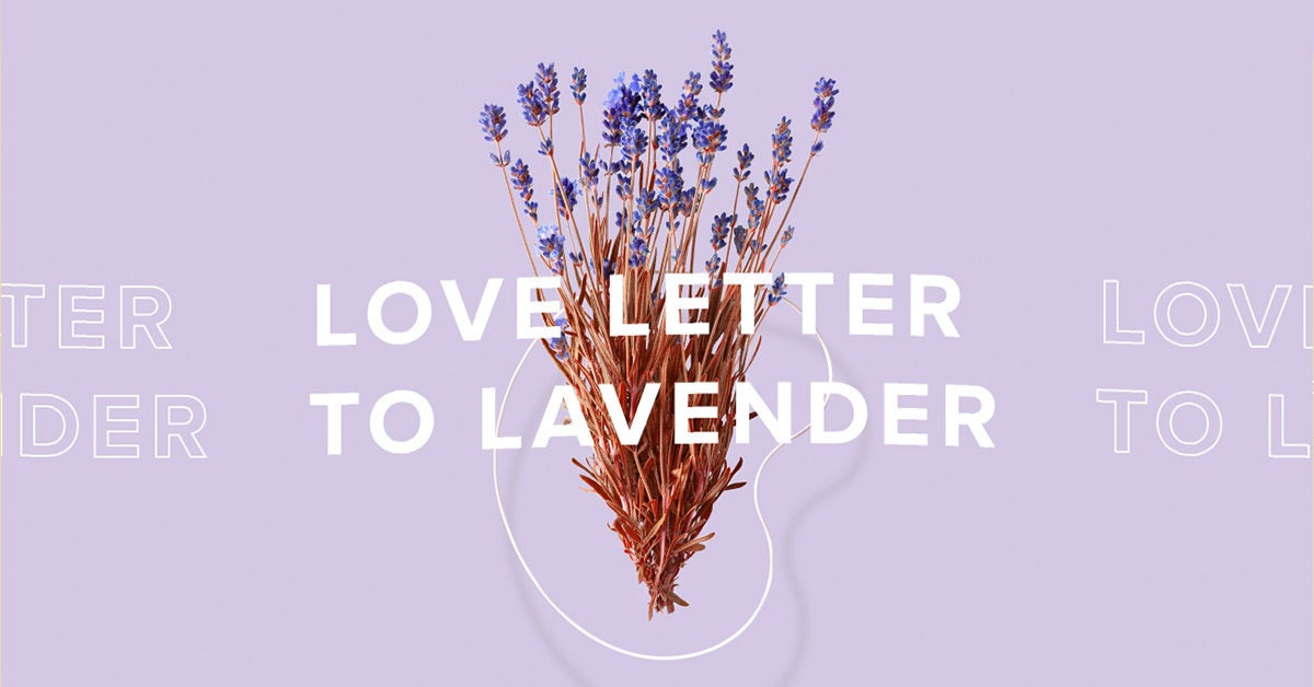 A Love Letter To Lavender History Benefits Types And More