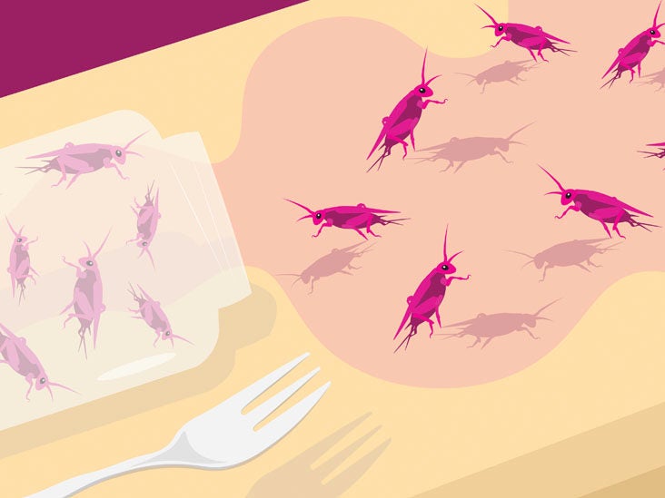 I Hate Bugs. But Here's Why I Tried Insect-Based Food