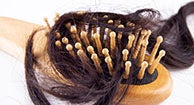Loss saw palmetto hair Serenoa Repens:
