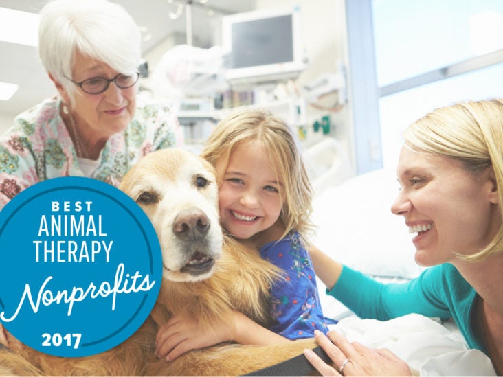 non profit psychiatric service dogs