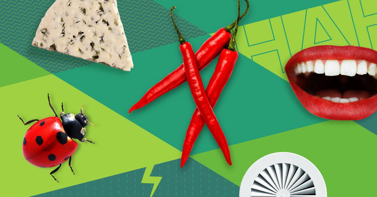 My Weirdest Asthma Triggers