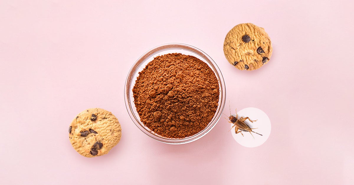 Cricket Flour Protein Count, Nutrients, Taste, and Recipes