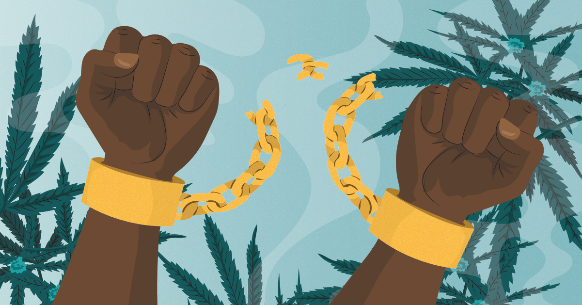 The Beginner's Guide to Social Equity in Cannabis - Healthline