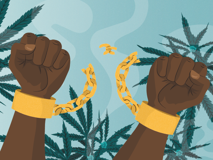 The Beginner's Guide to Social Equity in Cannabis
