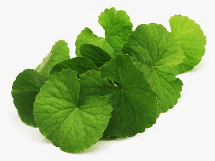 gotu kola powder