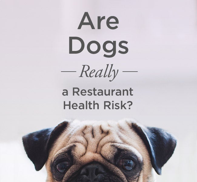 Are Dogs Really a Restaurant Health Risk?