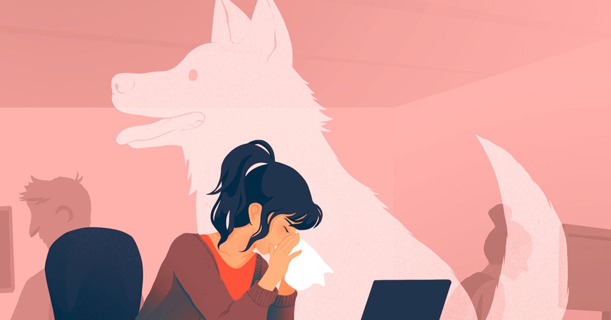 therapy dogs in the workplace