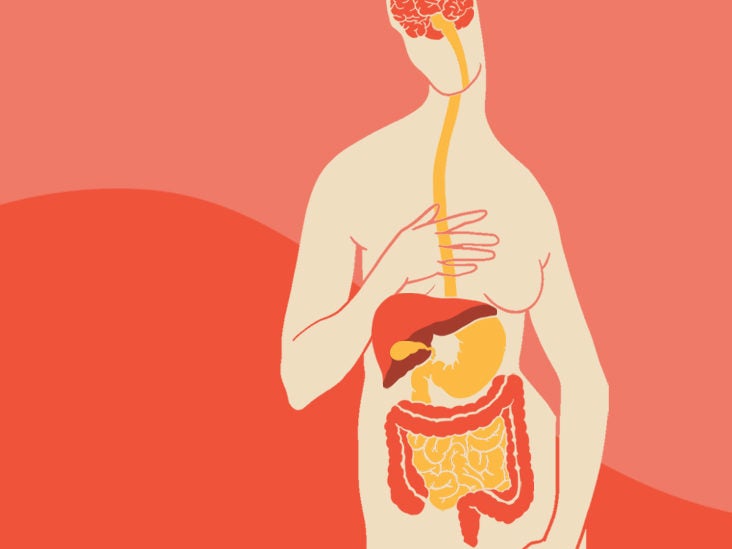 The Gut-Brain Connection: How it Works