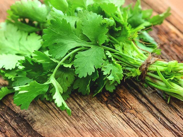 732px x 549px - 8 Surprising Health Benefits of Coriander