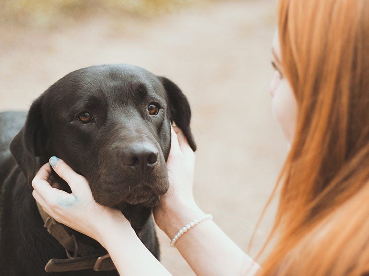 Emotional Support Animals: How They Help
