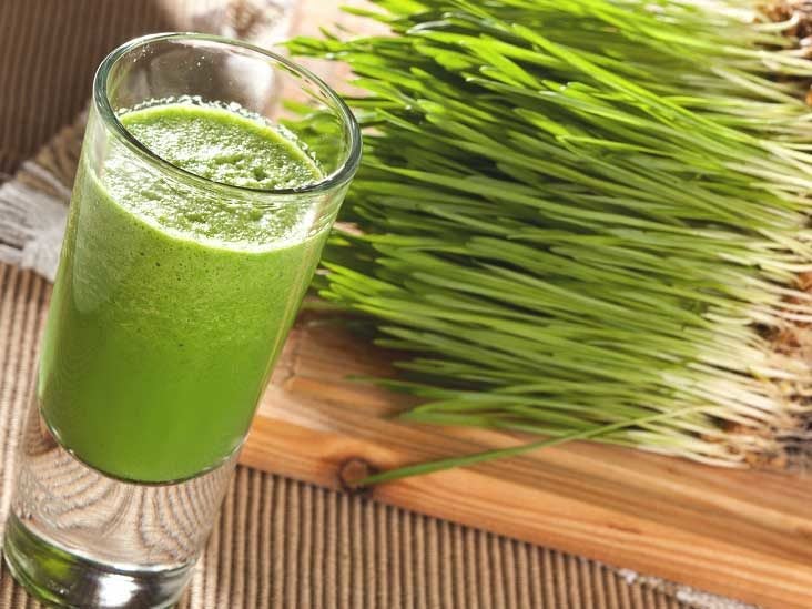 What Is Wheat Grass Juice Powder? 