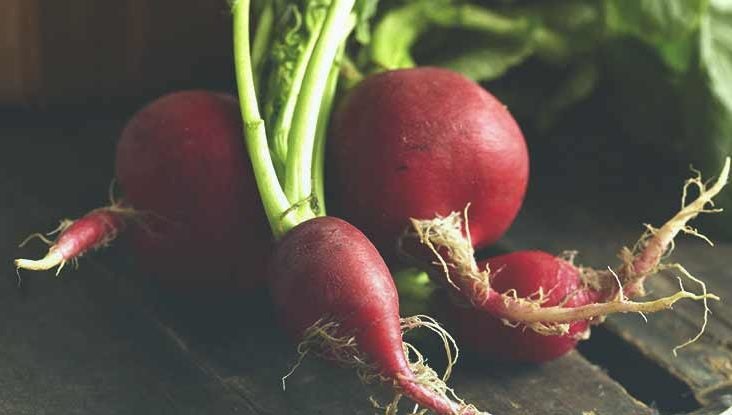 health benefits of radish juice