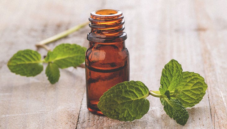 11 Surprising Benefits of Spearmint Tea and Essential Oil