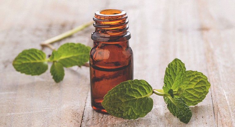 Peppermint oil for spiders