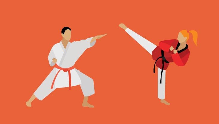 KARATEDO KYOKUSHIN KAIKAN Style 1 Marcial Arts Karate Japanese book 