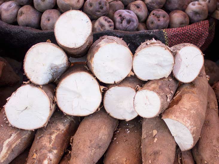 What Is Tapioca And What Is It Good For 