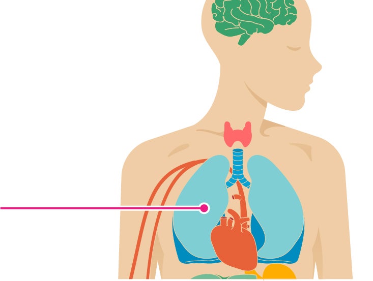 5 pulses in the body