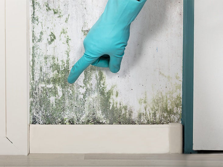 Symptoms Of Mold Exposure In House And More - How To Remove Black Mould From Painted Wallpaper