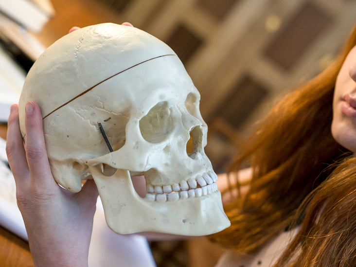 Cranial Bones: Function and Anatomy, Diagram, Conditions, Health Tips